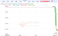 3月加元期货收盘价0.7389？外汇是什么工作