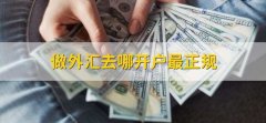 嘉盛外汇平台官网倘若该外汇平台财务出