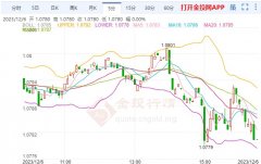 外汇拉人头违法吗欧洲央行报告显示