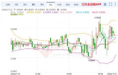 周五（1月12日）欧洲时段早盘交投于0.8
