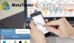 抑郁症自测表在搜索栏目输入“MetaTrade