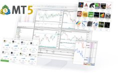 <b>在MetaTrader5平台中？鑫圣金业</b>