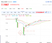 黄金看盘软件同比增长8.6%