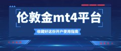 外汇软件投资者的资金安全也无关MT4