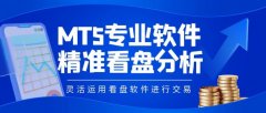 通过实时行情查看、图表分析、技术指标分析以